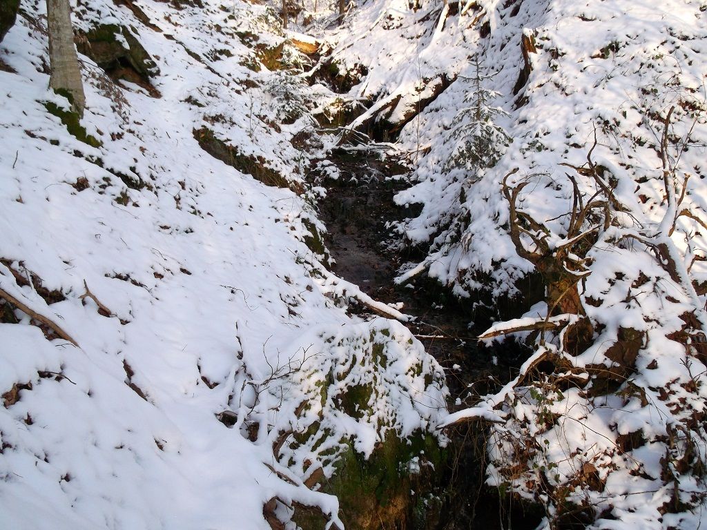 DHW0108.JPG